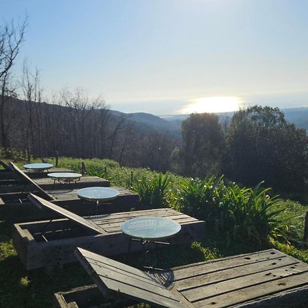 Domaine Colonna-Santini, Gite Piscine, Sauna, Spa Porri エクステリア 写真