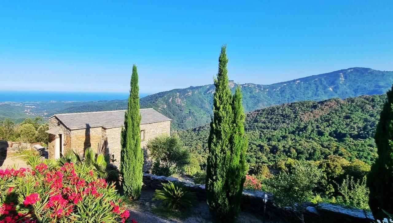 Domaine Colonna-Santini, Gite Piscine, Sauna, Spa Porri エクステリア 写真