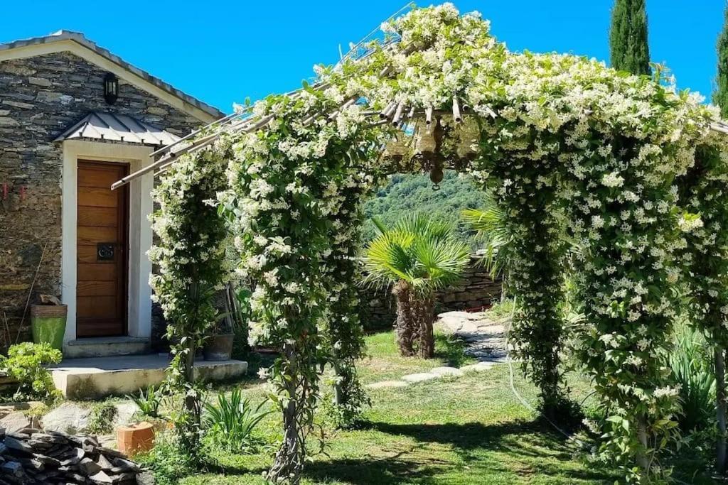 Domaine Colonna-Santini, Gite Piscine, Sauna, Spa Porri エクステリア 写真
