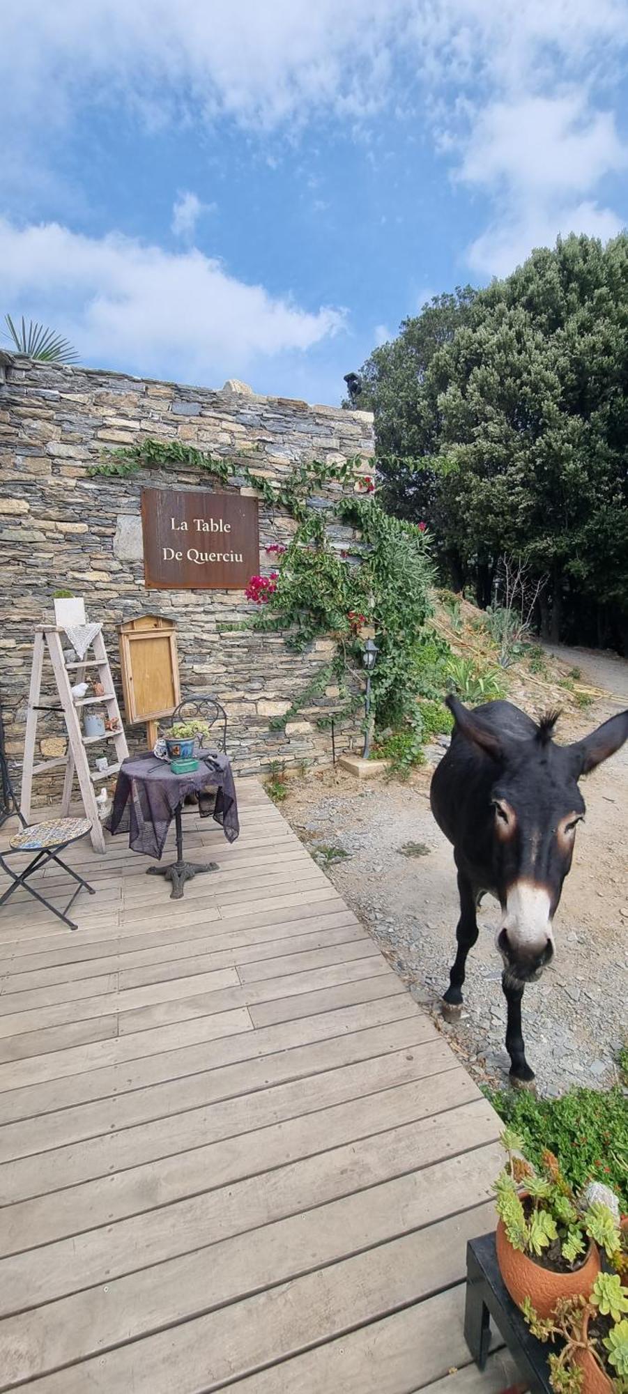 Domaine Colonna-Santini, Gite Piscine, Sauna, Spa Porri エクステリア 写真