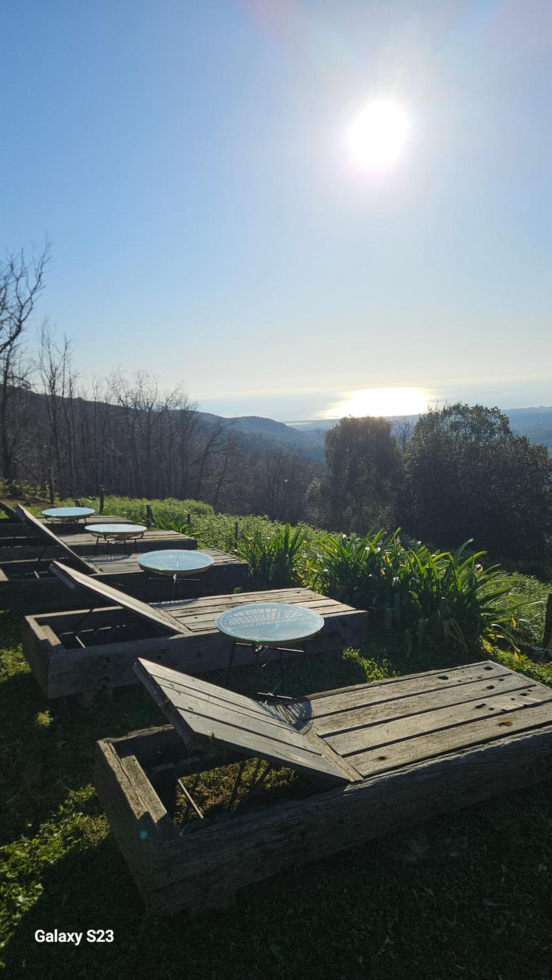 Domaine Colonna-Santini, Gite Piscine, Sauna, Spa Porri エクステリア 写真